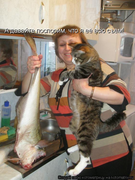 А давайте поспорим, что я её всю съем!... Котоматрица: А давайте поспорим, что я её всю съем!