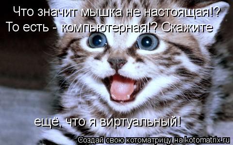 Что значит мышка не настоящая!? То есть - компьютерная!? Скажите ещё, что я виртуальный!... Котоматрица: Что значит мышка не настоящая!? То есть - компьютерная!? Скажите ещё, что я виртуальный!