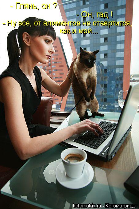 Котоматрица: - Глянь, он ? - Он, гад ! - Ну все, от алиментов не отвертится, как и мой...