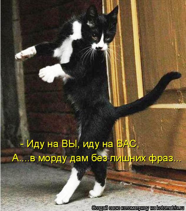 Котоматрица: - Иду на ВЫ, иду на ВАС, А....в морду дам без лишних фраз...