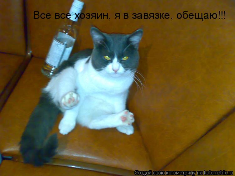 Котоматрица: Все все хозяин, я в завязке, обещаю!!!
