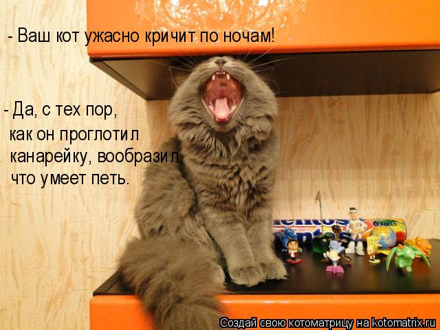 Котоматрица: как он проглотил  - Да, с тех пор,   канарейку, вообразил,  что умеет петь. - Ваш кот ужасно кричит по ночам!