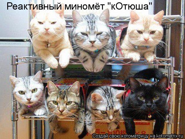 Котоматрица: Реактивный миномёт "кОтюша"