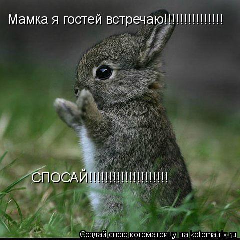 Котоматрица: Мамка я гостей встречаю!!!!!!!!!!!!!!! СПОСАЙ!!!!!!!!!!!!!!!!!!!!