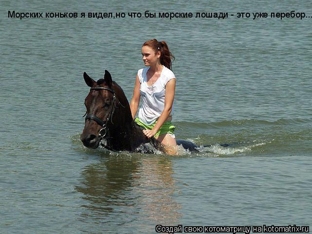 Морских коньков я видел,но что бы морские лошади - это уже перебор...... Котоматрица: Морских коньков я видел,но что бы морские лошади - это уже перебор...