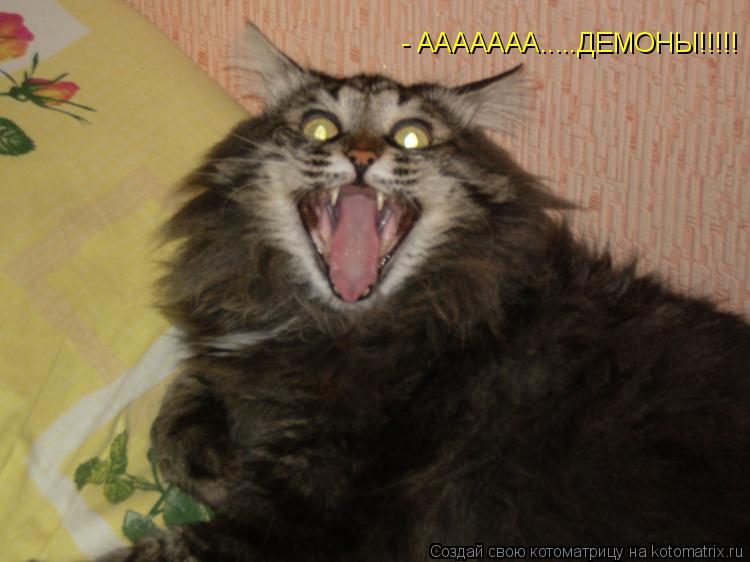 Котоматрица: - ААААААА.....ДЕМОНЫ!!!!!