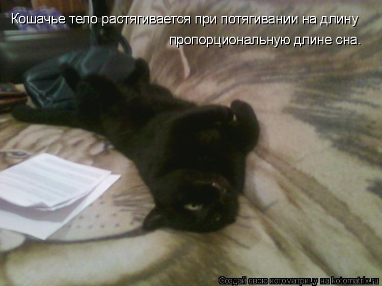 Котоматрица: Кошачье тело растягивается при потягивании на длину  пропорциональную длине сна.