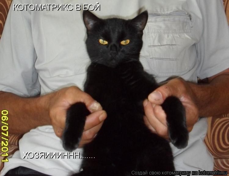 Котоматрица: КОТОМАТРИКС В БОЙ ХОЗЯИИИННН.......