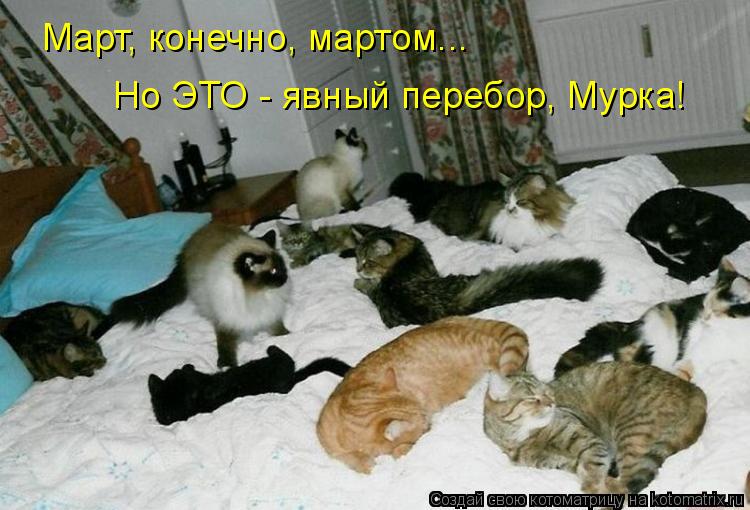 Котоматрица: Март, конечно, мартом... Но ЭТО - явный перебор, Мурка!