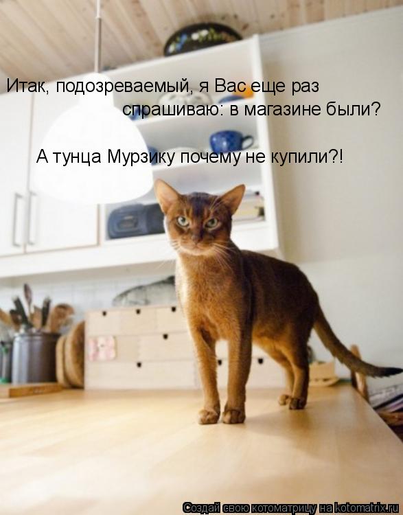 Котоматрица: Итак, подозреваемый, я Вас еще раз спрашиваю: в магазине были? А тунца Мурзику почему не купили?!