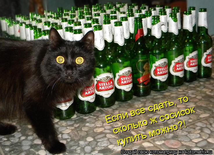 Котоматрица: Если все сдать, то сколько ж сосисок  купить можно?!