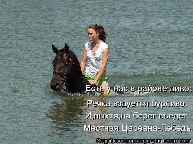Котоматрица: Есть у нас в районе диво: Речка вздуется бурливо. И,пыхтя,на берег въедет Местная Царевна-Лебедь.