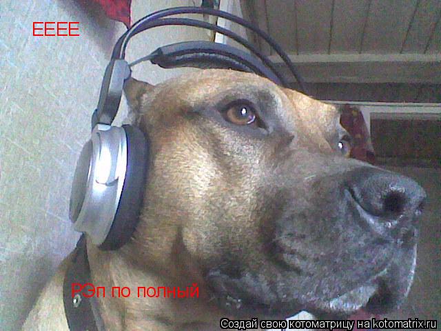 Котоматрица: ЕЕЕЕ РЭп по полный