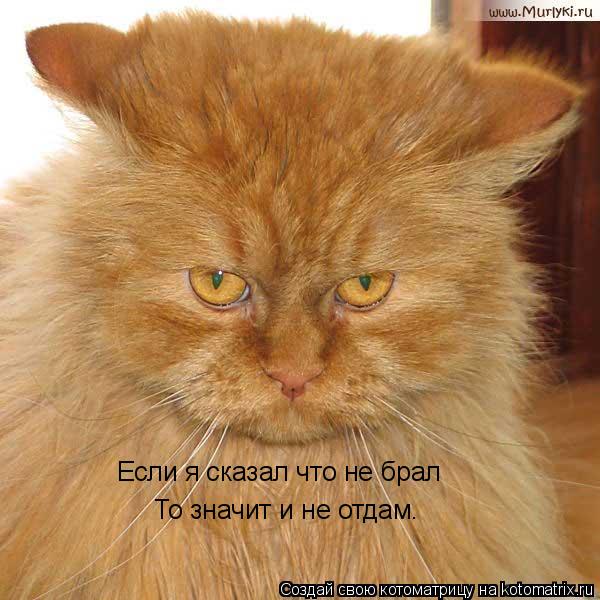 Котоматрица: Если я сказал что не брал То значит и не отдам.