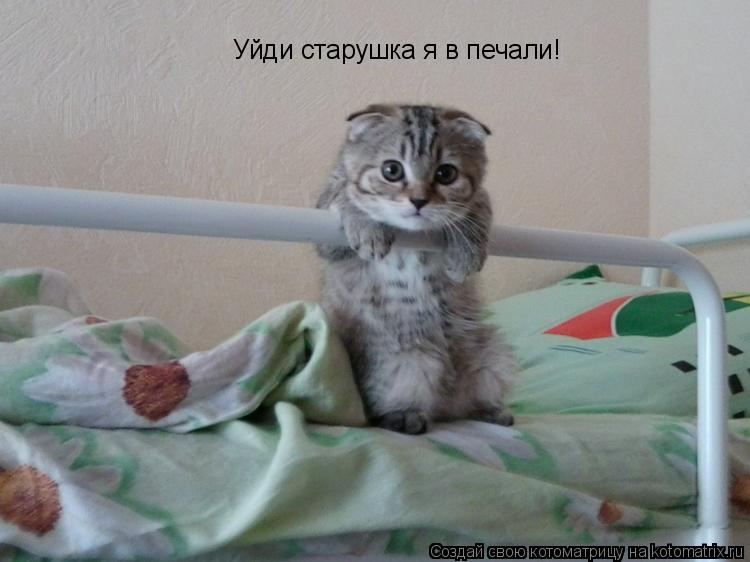 Котоматрица: Уйди старушка я в печали!