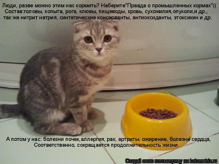 Котоматрица: Люди, разве можно этим нас кормить? Наберите"Правда о промышленных кормах"(( Состав:головы, копыта, рога, клювы, пищеводы, кровь, сухожилия,оп