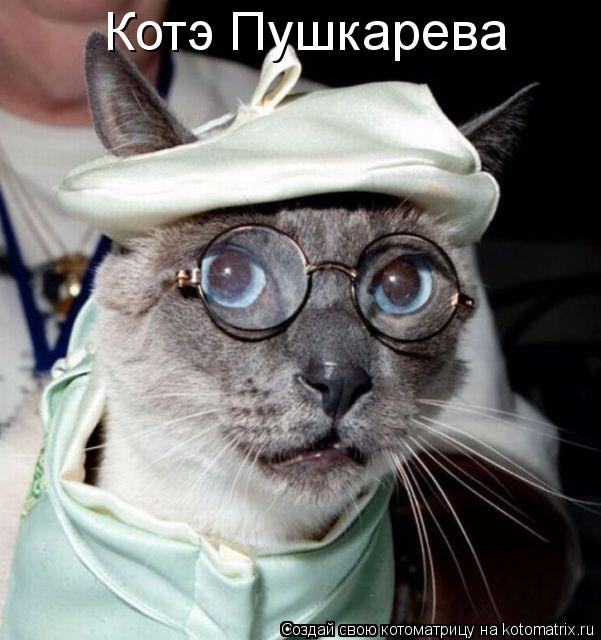 Котоматрица: Котэ Пушкарева