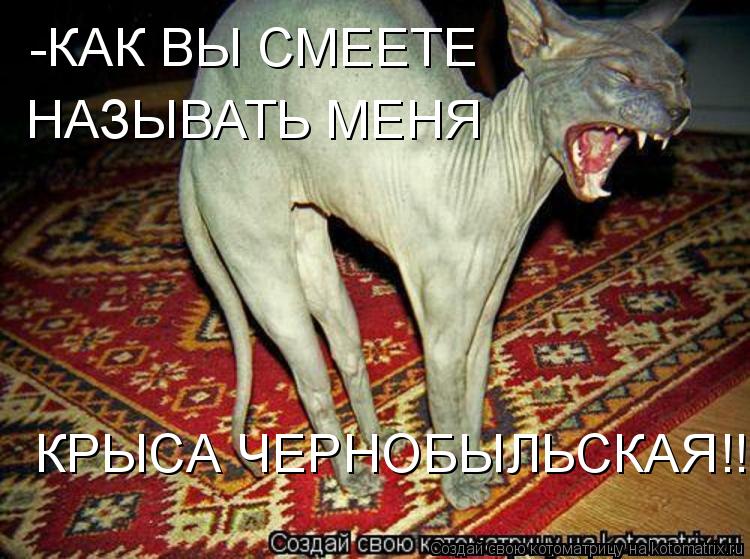 Котоматрица: -КАК ВЫ СМЕЕТЕ  НАЗЫВАТЬ МЕНЯ  КРЫСА ЧЕРНОБЫЛЬСКАЯ!!!