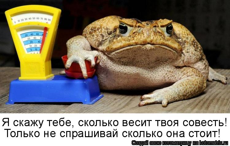 Котоматрица: Я скажу тебе, сколько весит твоя совесть! Только не спрашивай сколько она стоит!