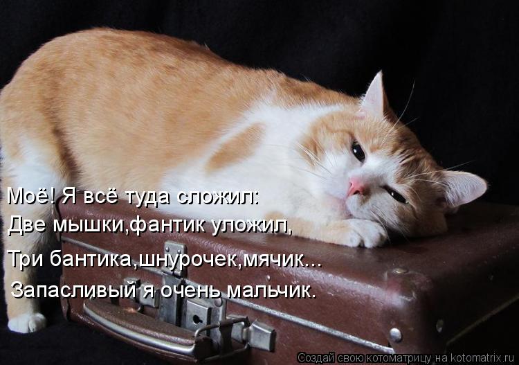 Моё! Я всё туда сложил: Две мышки,фантик уложил, Три бантика,шнурочек,мячик... Запасливый я очень мал... Котоматрица: Моё! Я всё туда сложил: Две мышки,фантик уложил, Три бантика,шнурочек,мячик... Запасливый я очень мальчик.
