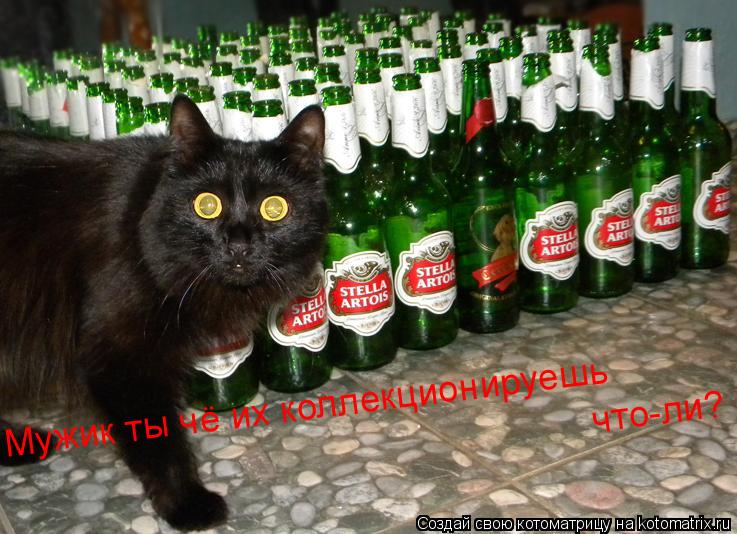 Мужик ты чё их коллекционируешь что-ли?... Котоматрица: Мужик ты чё их коллекционируешь что-ли?