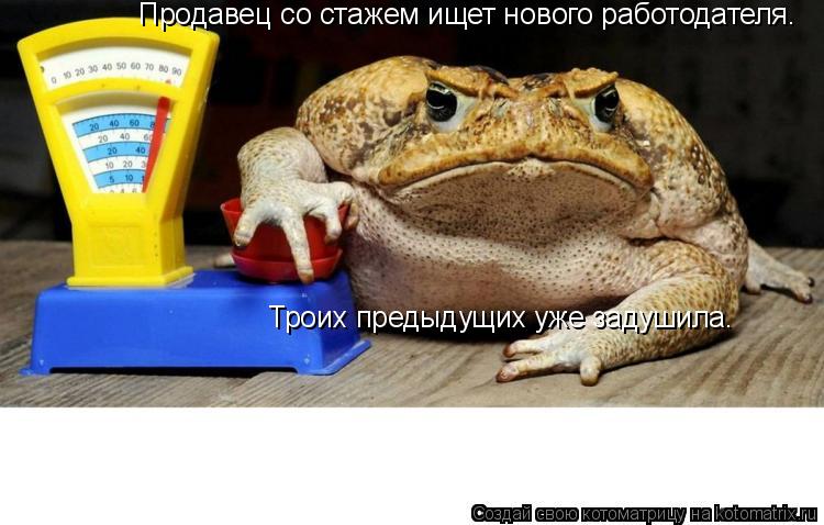 Котоматрица: Продавец со стажем ищет нового работодателя. Троих предыдущих уже задушила.