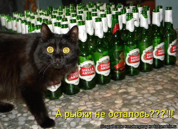Котоматрица: А рыбки не осталось???!!!
