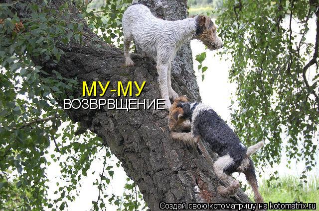 МУ-МУ ВОЗВРВЩЕНИЕ... Котоматрица: МУ-МУ ВОЗВРВЩЕНИЕ