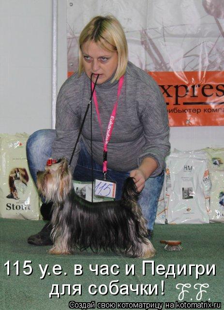 115 у.е. в час и Педигри для собачки!... Котоматрица: 115 у.е. в час и Педигри для собачки!