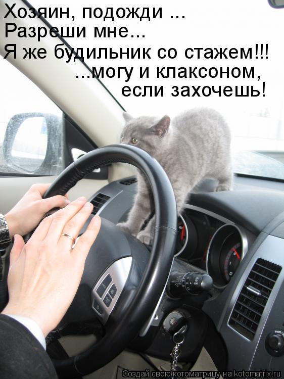 Хозяин, подожди ... Разреши мне... Я же будильник со стажем!!! ...могу и клаксоном, если захочешь!... Котоматрица: Хозяин, подожди ... Разреши мне... Я же будильник со стажем!!! ...могу и клаксоном, если захочешь!