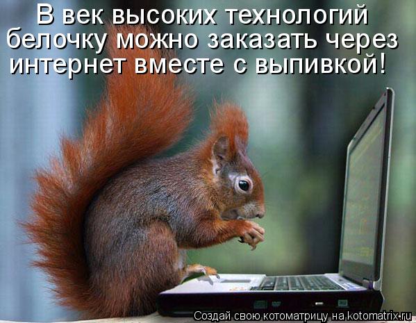 В век высоких технологий белочку можно заказать через интернет вместе с выпивкой!... Котоматрица: В век высоких технологий белочку можно заказать через интернет вместе с выпивкой!