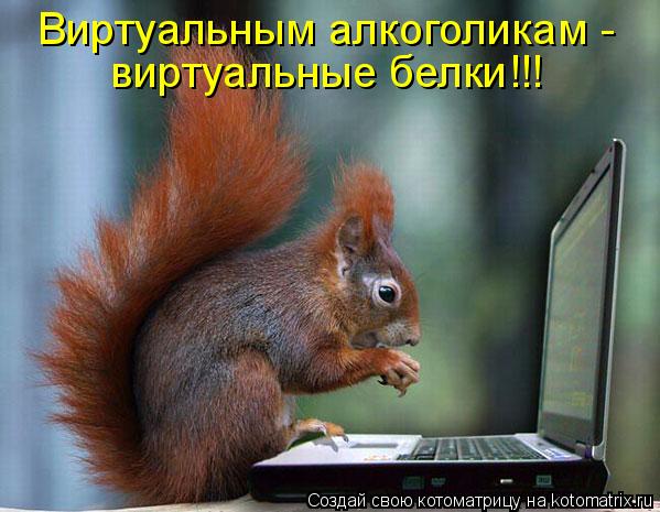 Виртуальным алкоголикам - виртуальные белки!!!... Котоматрица: Виртуальным алкоголикам - виртуальные белки!!!