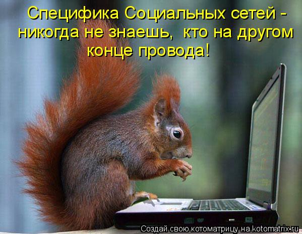 Специфика Социальных сетей - никогда не знаешь, кто на другом конце провода!... Котоматрица: Специфика Социальных сетей - никогда не знаешь, кто на другом конце провода!
