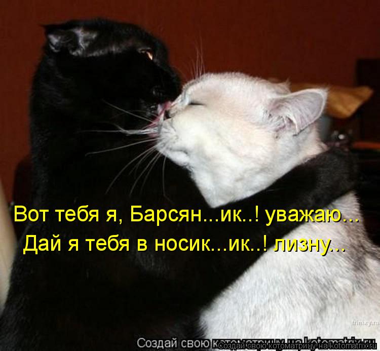 Вот тебя я, Барсян...ик..! уважаю... Дай я тебя в носик...ик..! лизну...... Котоматрица: Вот тебя я, Барсян...ик..! уважаю... Дай я тебя в носик...ик..! лизну...