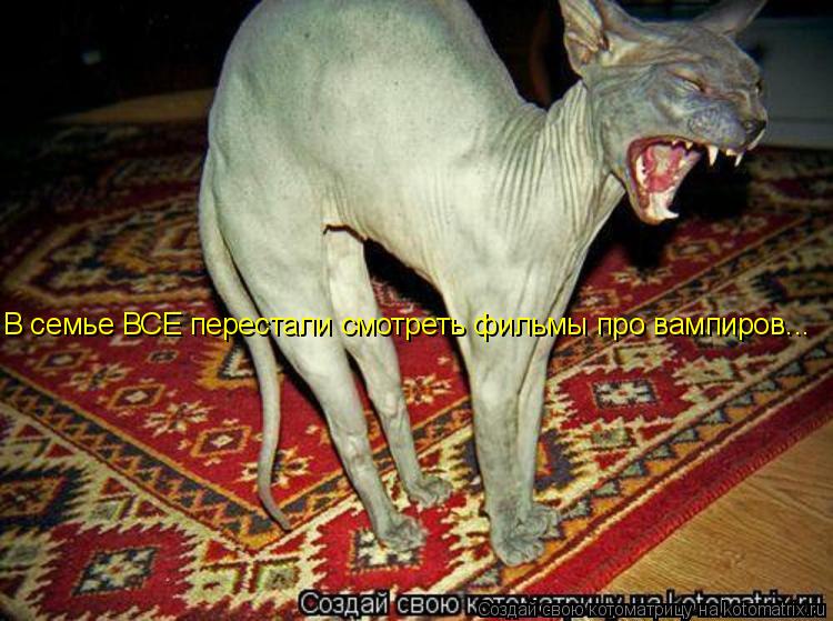В семье ВСЕ перестали смотреть фильмы про вампиров...... Котоматрица: В семье ВСЕ перестали смотреть фильмы про вампиров...