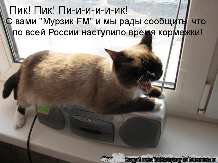 Котоматрица: Пик! Пик! Пи-и-и-и-и-ик! С вами "Мурзик FM" и мы рады сообщить, что  по всей России наступило время кормежки!