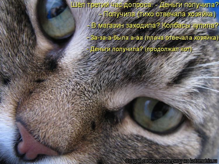 Котоматрица: Шёл третий час допроса: - Деньги получила? - Получила (тихо отвечала хозяйка) - В магазин заходила? Колбасы купила? - За-за-а-была а-аа (плача отв