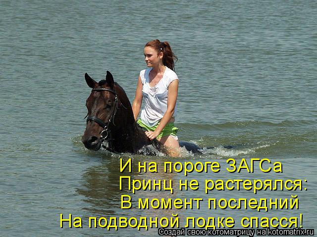 Котоматрица: И на пороге ЗАГСа Принц не растерялся: В момент последний На подводной лодке спасся!