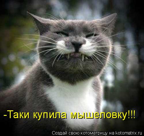 Котоматрица: -Таки купила мышеловку!!!