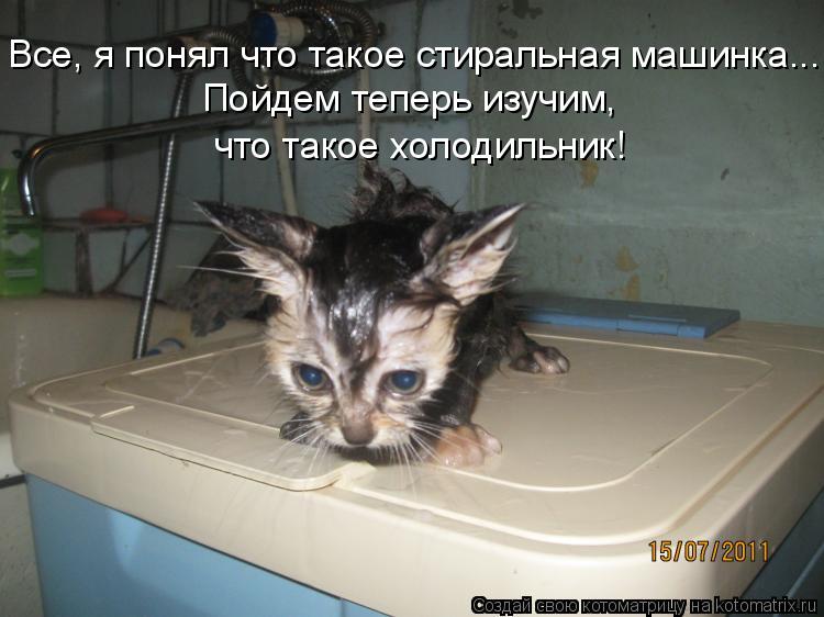 Котоматрица: Все, я понял что такое стиральная машинка... Пойдем теперь изучим,  что такое холодильник!