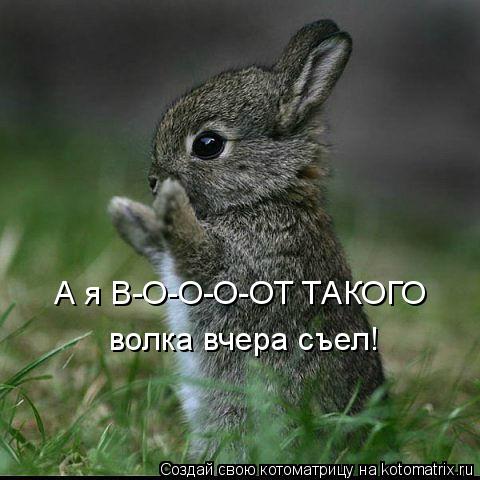 Котоматрица: А я В-О-О-О-ОТ ТАКОГО волка вчера съел!