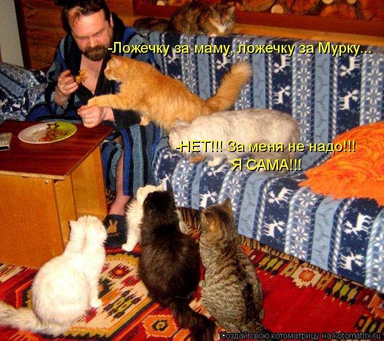 -Ложечку за маму, ложечку за Мурку... -НЕТ!!! За меня не надо!!! Я САМА!!!... Котоматрица: -Ложечку за маму, ложечку за Мурку... -НЕТ!!! За меня не надо!!! Я САМА!!!