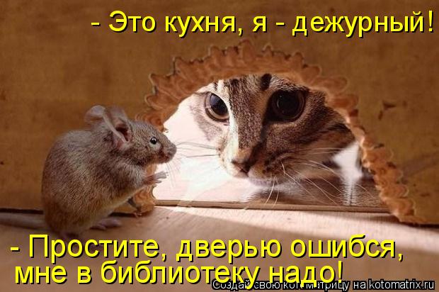 Котоматрица: - Простите, дверью ошибся, мне в библиотеку надо! - Это кухня, я - дежурный!