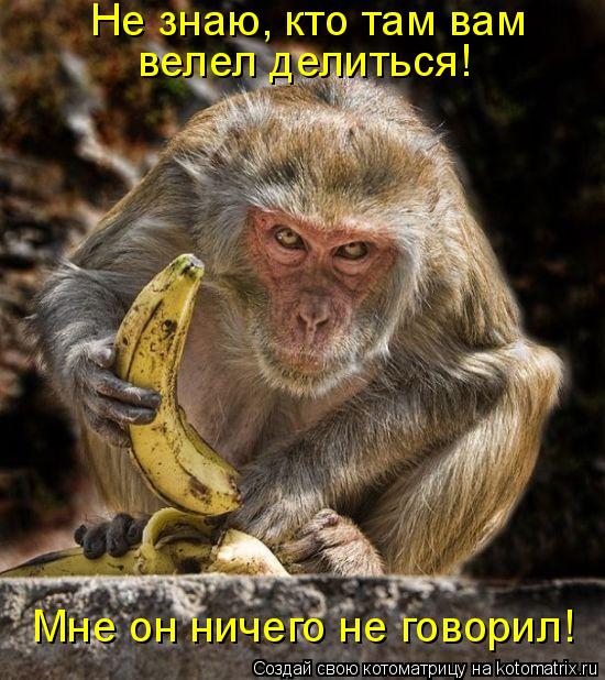 Котоматрица: Не знаю, кто там вам  велел делиться! Мне он ничего не говорил!