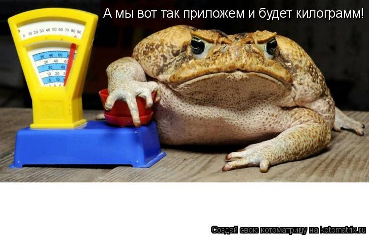 Котоматрица: А мы вот так приложем и будет килограмм!