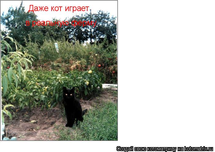 Котоматрица: Даже кот играет  в реальную ферму.