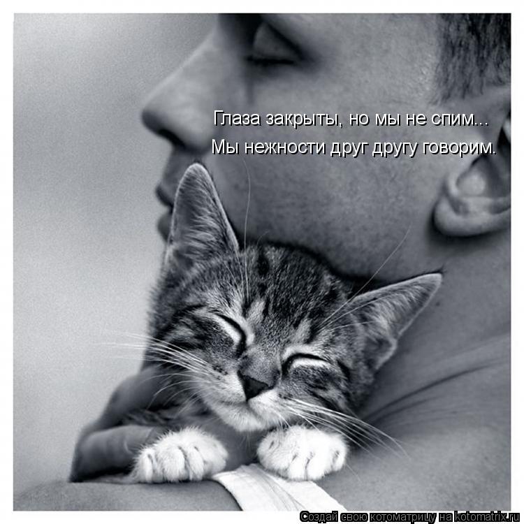 Котоматрица: Глаза закрыты, но мы не спим... Мы нежности друг другу говорим.