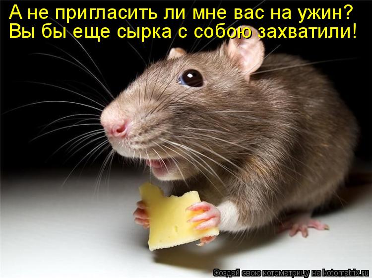 Котоматрица: А не пригласить ли мне вас на ужин? Вы бы еще сырка с собою захватили!