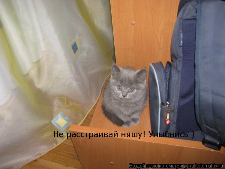 Котоматрица: Не расстраивай няшу! Улыбнись )