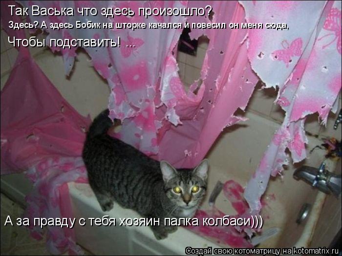 Котоматрица: Так Васька что здесь произошло? Здесь? А здесь Бобик на шторке качался и повесил он меня сюда, Чтобы подставить! ... А за правду с тебя хозяин п